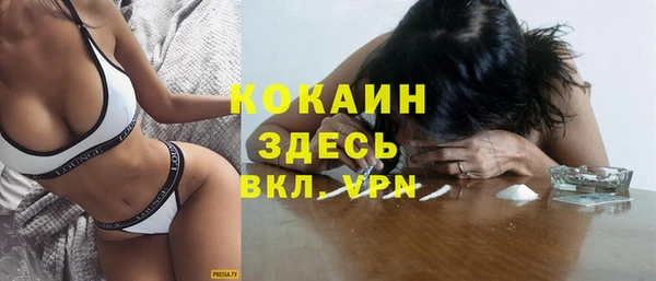 твердый Няндома