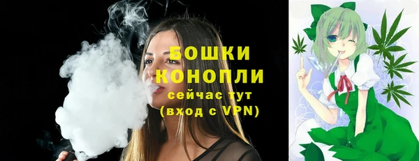 крисы Нягань