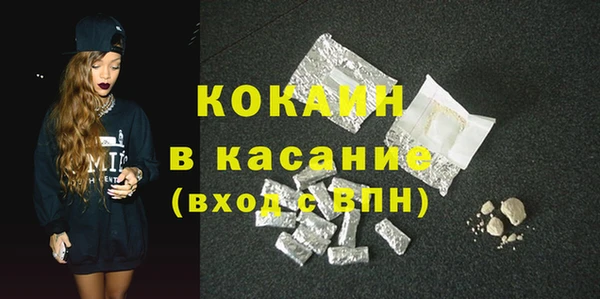 твердый Няндома