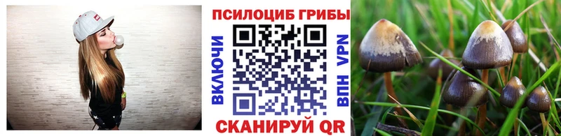 Псилоцибиновые грибы GOLDEN TEACHER  Грязи 