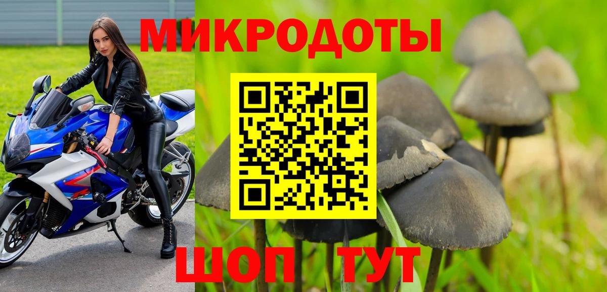 Галлюциногенные грибы Magic Shrooms Грязи